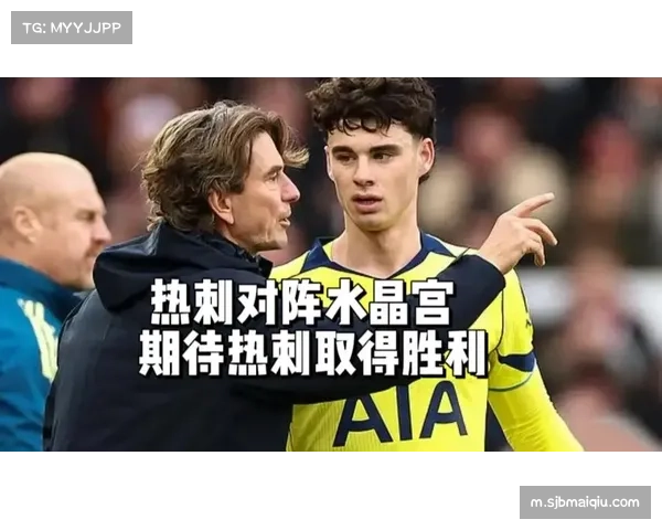 热刺对阵水晶宫 索兰克身体优势成禁区支点